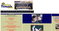Desktop Screenshot of goldentornadosports.net